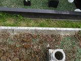image of grave number 683614